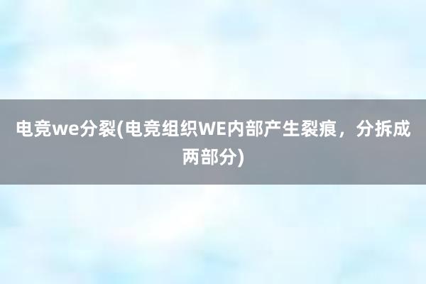 电竞we分裂(电竞组织WE内部产生裂痕，分拆成两部分)