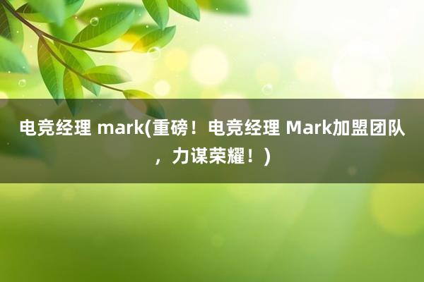 电竞经理 mark(重磅！电竞经理 Mark加盟团队，力谋荣耀！)