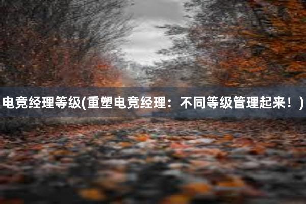 电竞经理等级(重塑电竞经理：不同等级管理起来！)