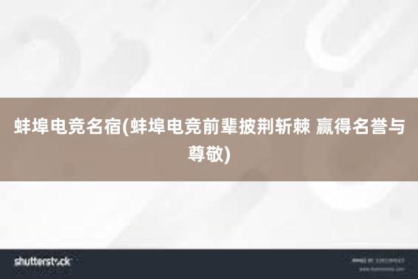 蚌埠电竞名宿(蚌埠电竞前辈披荆斩棘 赢得名誉与尊敬)