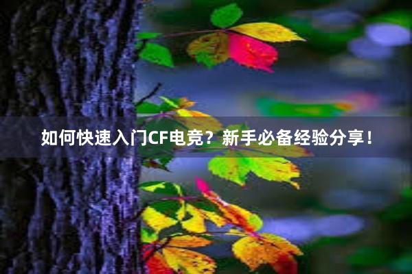 如何快速入门CF电竞？新手必备经验分享！