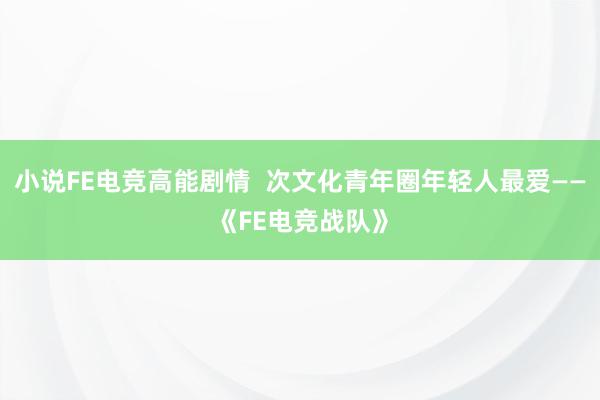 小说FE电竞高能剧情  次文化青年圈年轻人最爱——《FE电竞战队》