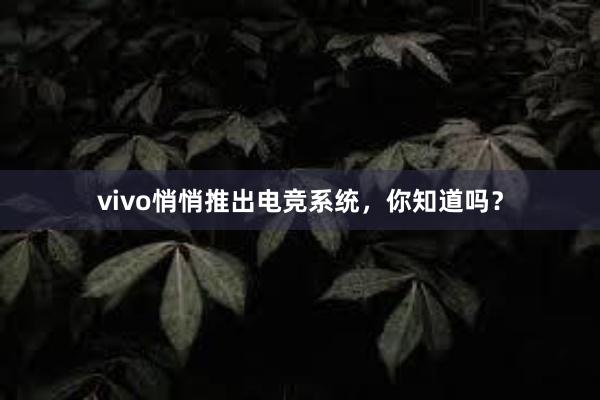 vivo悄悄推出电竞系统，你知道吗？