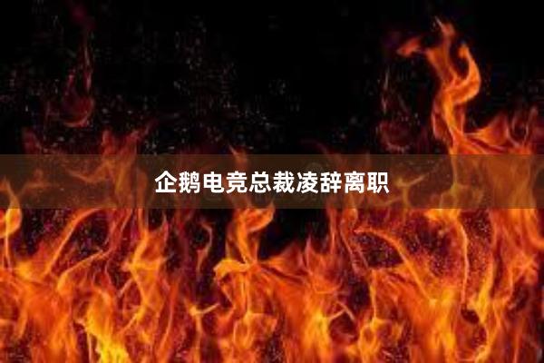 企鹅电竞总裁凌辞离职