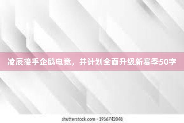 凌辰接手企鹅电竞，并计划全面升级新赛季50字