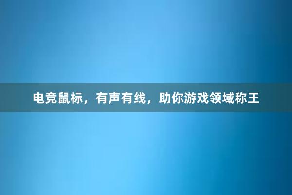 电竞鼠标，有声有线，助你游戏领域称王