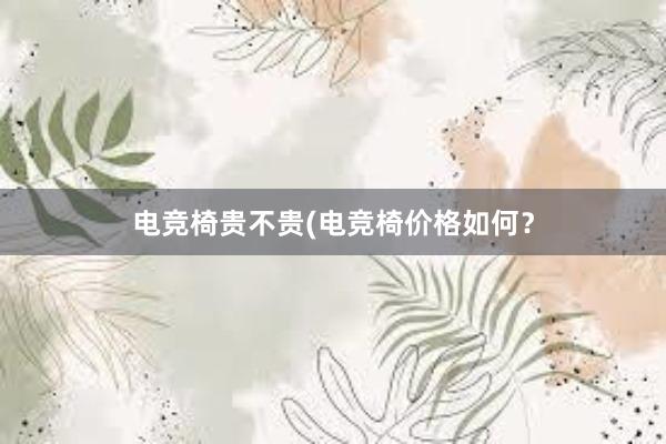 电竞椅贵不贵(电竞椅价格如何？