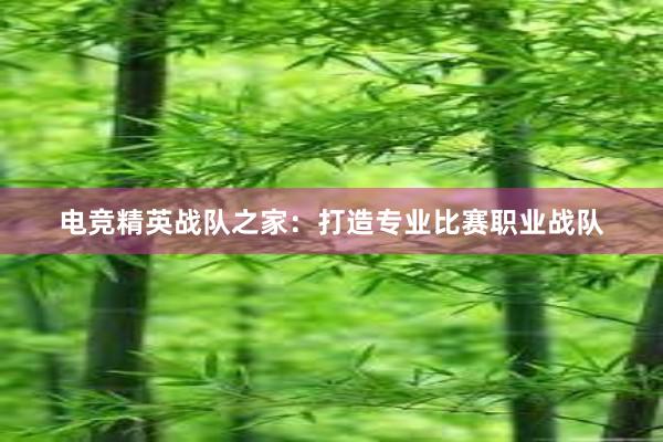 电竞精英战队之家：打造专业比赛职业战队