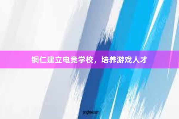 铜仁建立电竞学校，培养游戏人才